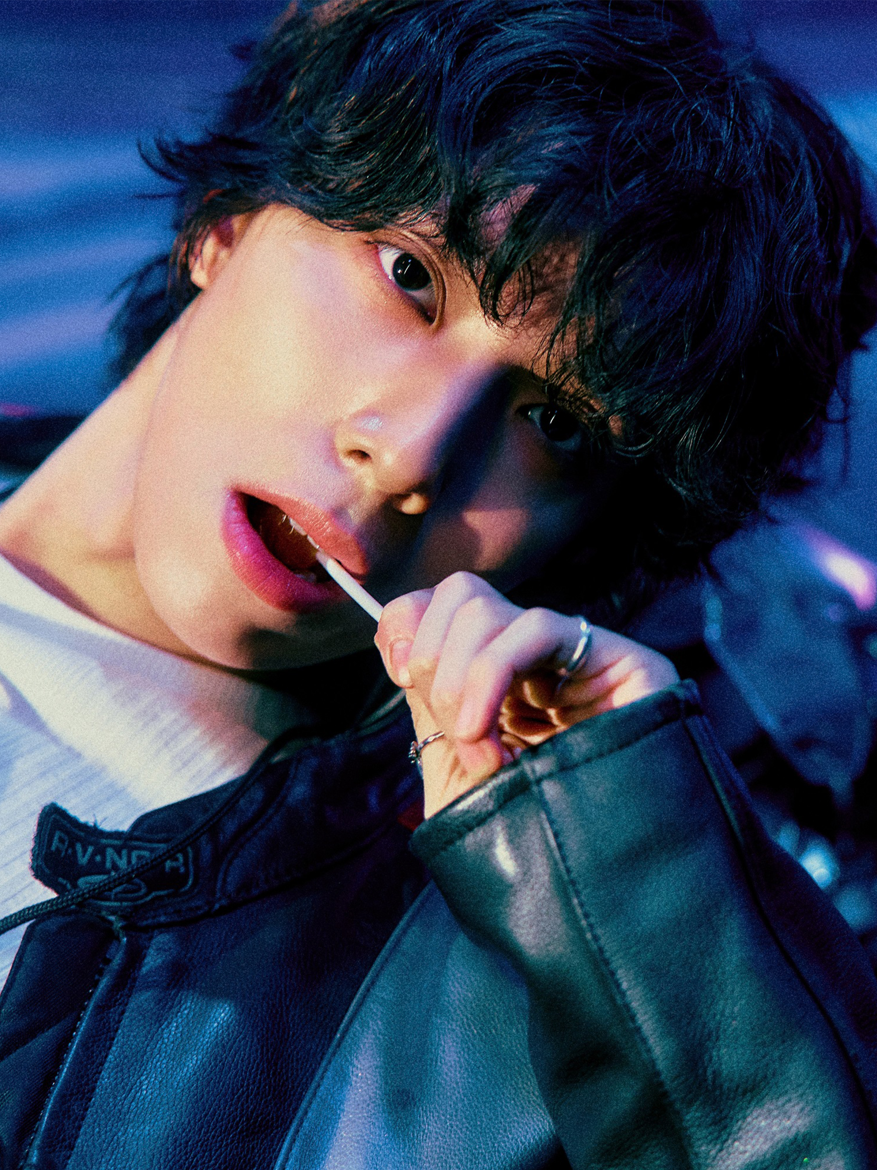 フィヨンの写真